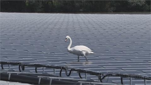 法國廢棄礦場轉型！　成歐洲最大浮動太陽能發電廠
