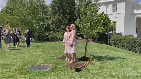 白宮花園種下櫻花樹！　日本首相夫人訪美會拜登夫婦