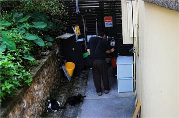 涉以辣椒水虐猴硐貓　警清查比對逮28歲男辯心情不好