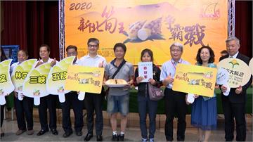 新北市筍王爭霸戰！他種30多年終奪冠
