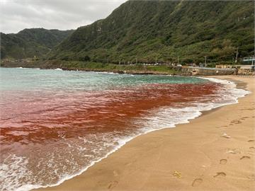 民眾嚇壞！基隆大武崙沙灘變「紅海」　釀禍原因曝光