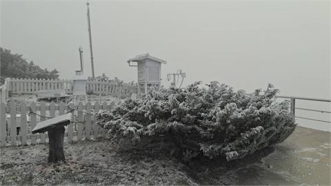 玉山下雪了！冷氣團發威「今晨低溫探-5.5度」　銀白畫面曝光