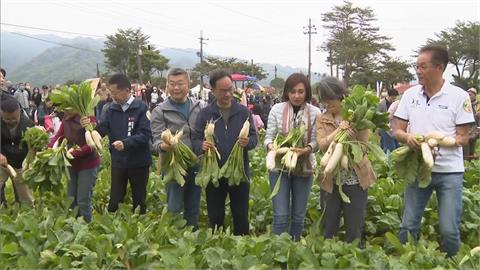 擔任一日駐「美」大使　副總統蕭美琴親自體驗拔蘿蔔