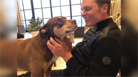 NFL／電影「克隆」動物情節真實上演！　傳奇四分衛布雷迪成功複製死去愛犬