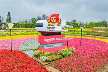 把握最後一周！桃園彩色海芋季打造20萬株壯觀花海 4/12閉幕