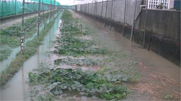 0812大雨農損 農委會公告現金救助項目