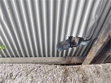 亞泥花蓮礦區炸山碎石噴飛砸民宅　暫停爆破允賠償