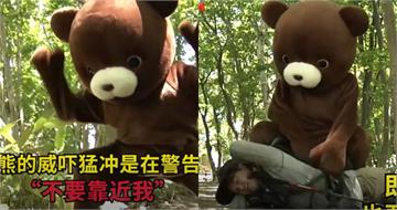 日本熊襲釀死傷!NHK拍攝「遇熊自保影片」宣導 網笑:熊大去兼差