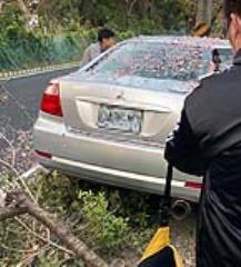 失控衝撞大古山櫻花樹棄車落跑 女行人無辜受傷氣炸