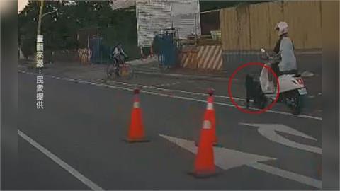 黑狗衝出來！　14歲少年騎車放學煞車不及撞到狗
