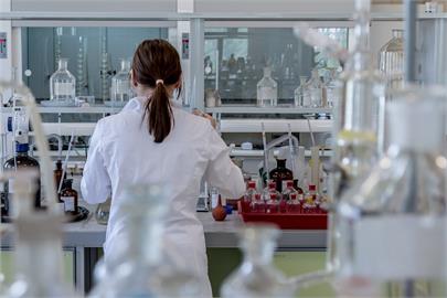 英國發現綿羊H5N1首例　哺乳動物傳播疑慮升高
