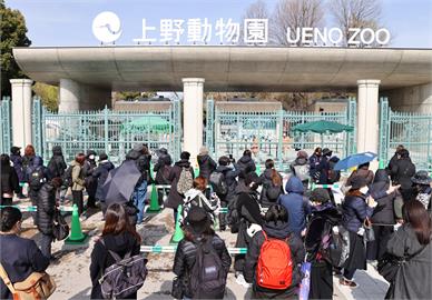 日本東京上野動物園換新車！　環保列車2027年啟用