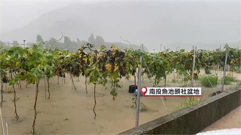 暴雨！南投驚現「泥漿瀑布」　日月潭旁「頭社盆地」淹水