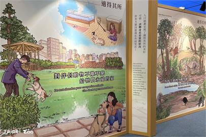 快新聞／穿山甲、石虎屢遭攻擊！　北市動物園：遊蕩犬貓威脅本土動物勿任意餵食、棄養