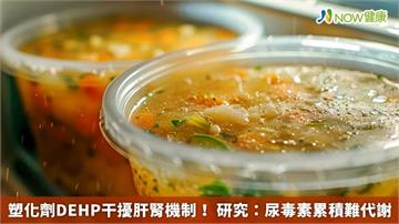 塑化劑DEHP干擾肝腎機制！ 研究：尿毒素累積難代謝