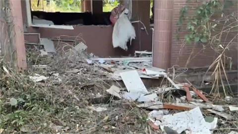 20歲理工男大生自製炸藥「轟廢校」教室全毀！網狂刷「1事」：中科院呢？