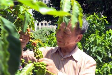 台北第一座！咖啡公園城市飄香就在這
