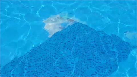 童玩節開幕2天爆「掉漆」　戲水池飄藍色碎屑