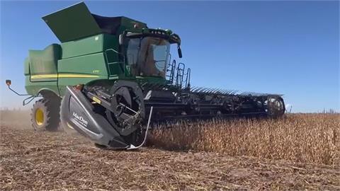 中國停買美國大豆　巴西大豆太貴令中方買家卻步