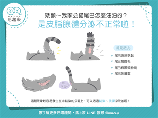 【喵喵康健】驚！貓貓尾巴怎麼油膩膩？！