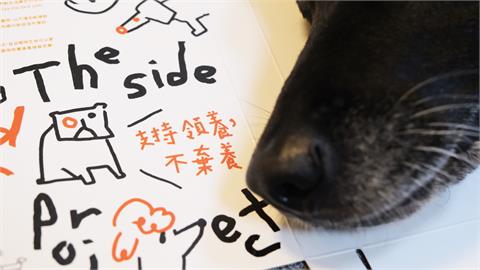 包裝內裡藏洋蔥細節！台灣寵物品牌推世界動物日公益套組幫助浪浪