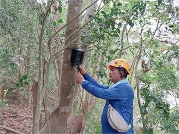 台灣黑熊現蹤浸水營步道　創台東最南蹤跡紀錄