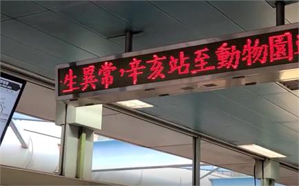 快新聞／文湖線停駛原因曝！某社區鋸樹落軌影響2300人　北捷：依法開罰求償