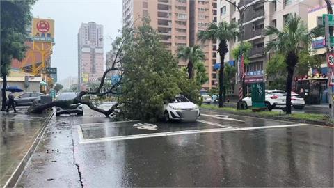 高雄8月雨狂下1712毫米! 樹倒波及2車.步道泥流滾滾