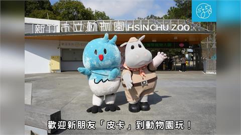 快新聞／新竹動物園挨批冷清！莊競程籲提前招商重振榮景　市府：7月起陸續營運