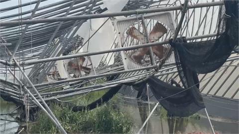 丹娜絲颱風重創嘉義農業　太保市「九成溫室倒塌」損失逾20億