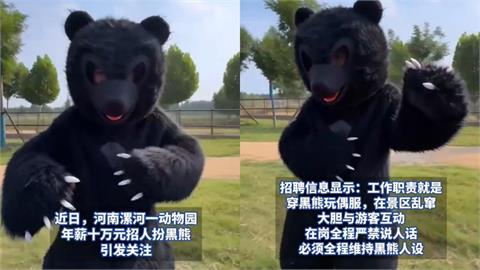 中國動物園開奇葩職缺！年薪47萬應徵唯一條件「嚴禁說人話」報名秒殺