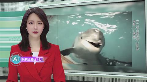 敏熙報氣象／科技無法取代「水中能力」　美國訓練海豚成為偵蒐兵