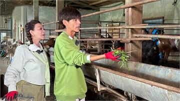 阿翔誤把「動物藥水」滴進眼睛！反應過度嚇壞旁人 下場曝光了