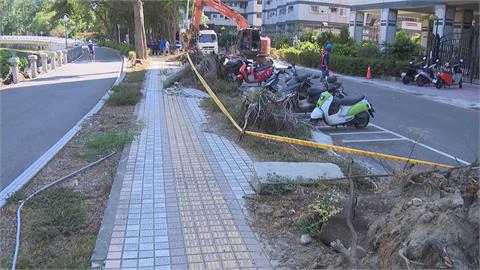 高雄河堤人行道颱風後毀損慘　半年後未修繕？水利局回應了