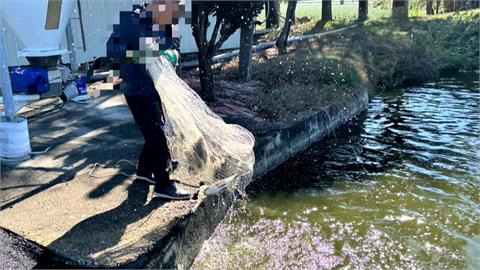 超市台灣鯛魚排遭驗出「用藥超標」急下架　　全台賣出逾1萬3千片