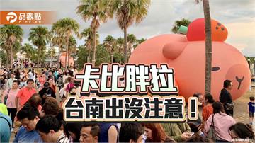 卡比胖拉萌翻臺南安平！活動至10/19止