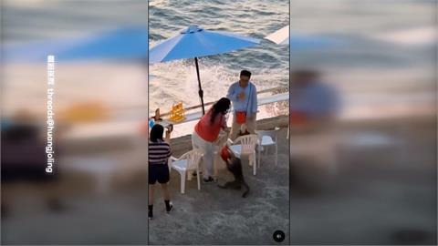 獼猴又來! 香港遊客喝咖啡"包包遭猴搶" 護照.皮夾全不見