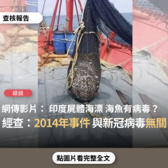 事實查核／【錯誤】網傳影片宣稱「現在的海魚 盡量不要吃 會有印度病毒」、「最近印度的屍體已經流到馬來西亞這裡了！告訴你身邊的朋友 不要吃海鮮」？