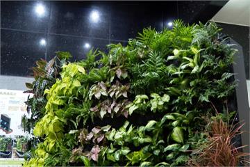 校園蓋植物「空氣牆」 減少PM2.5又降溫