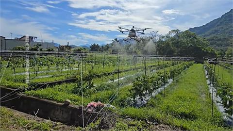 農地無預警被列「軍事紅區」　無人機無法噴藥　高雄旗山、美濃農民痛訴