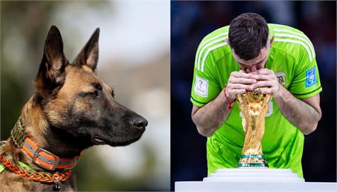 足球／超狂！怕冠軍獎牌被偷　阿根廷門將砸76萬買下「軍規看門犬」