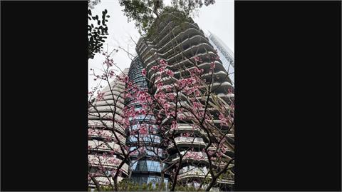 陶朱隱園宣布開賣　估每坪300萬元起