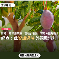 事實查核／【錯誤】網傳影片「愛文芒果使用禁藥『益收生長素』催熟；民眾可用外皮鮮紅、無果粉、蒂頭顏色深黑，辨別愛文芒果有使用人工催熟」？