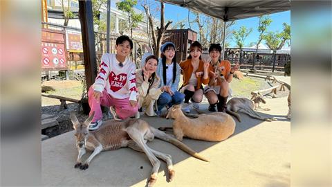 楊繡惠覺得很軟、首次體驗觸摸袋鼠蛋蛋的金娜妍更當場驚呼「真的很大！」讓全場笑翻