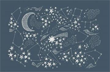 「桃園之星」一週運勢11/17~11/23雙子順風順水