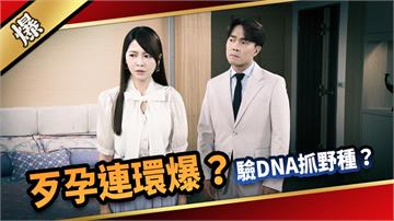《愛的榮耀-EP151精采片段》歹孕連環爆？ 驗DNA抓野種？