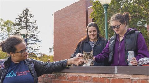 校園裡到處晃「療癒師生心靈」　美國這隻貓獲頒榮譽博士學位