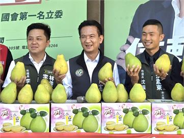 快新聞／好暖！助柚農銷貨又幫慈善團體做公益　林俊憲偕議員捐文旦慶中秋