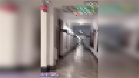 快新聞／中配進竹市府抖音直播！高虹安喊「若違法絕不寬貸」綠議員批：漫不經心