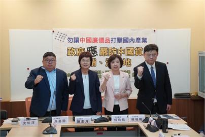 快新聞／川普暫緩高關稅！　陳素月偕5綠委籲：嚴防中國洗產地破壞台美關係